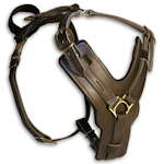 Luxury royal harness